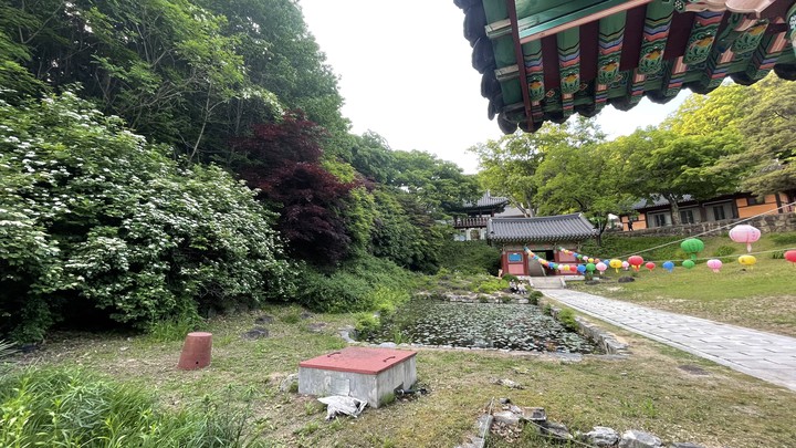 부처님오신날
