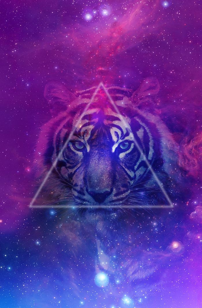 Tiger and galaxy