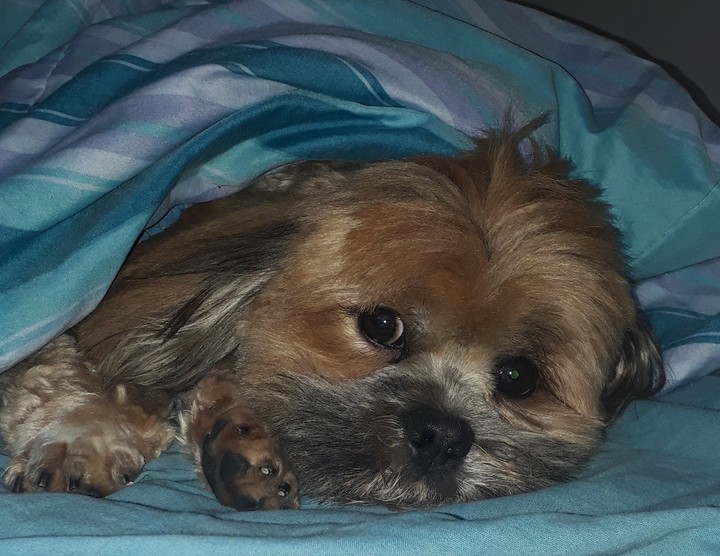que frio!