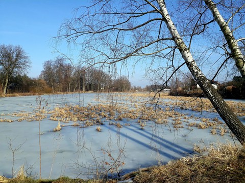 End of winter