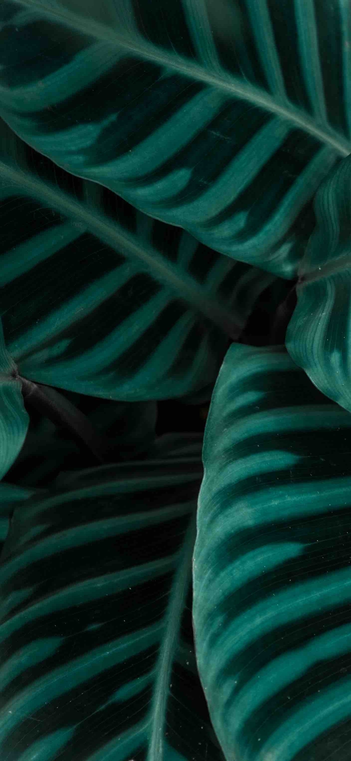 ⠀