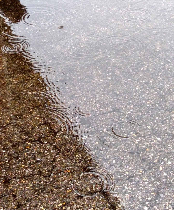 Raindrops in a puddle