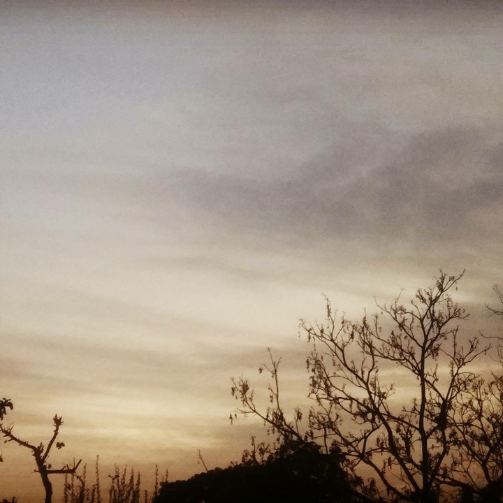 aesthetic