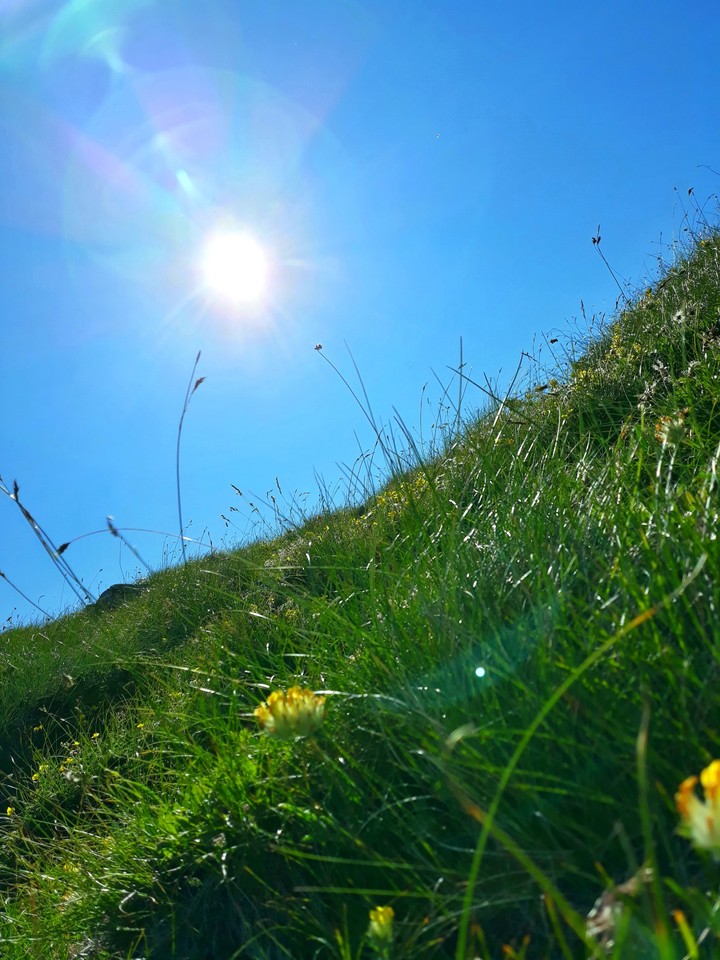 nature