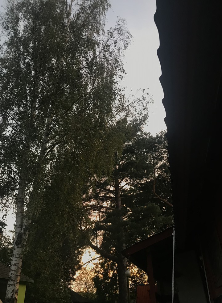 Дача?