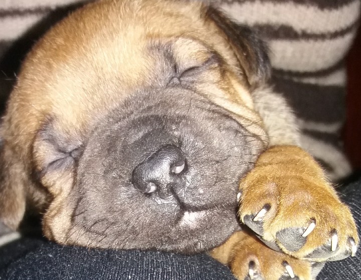 my❤
