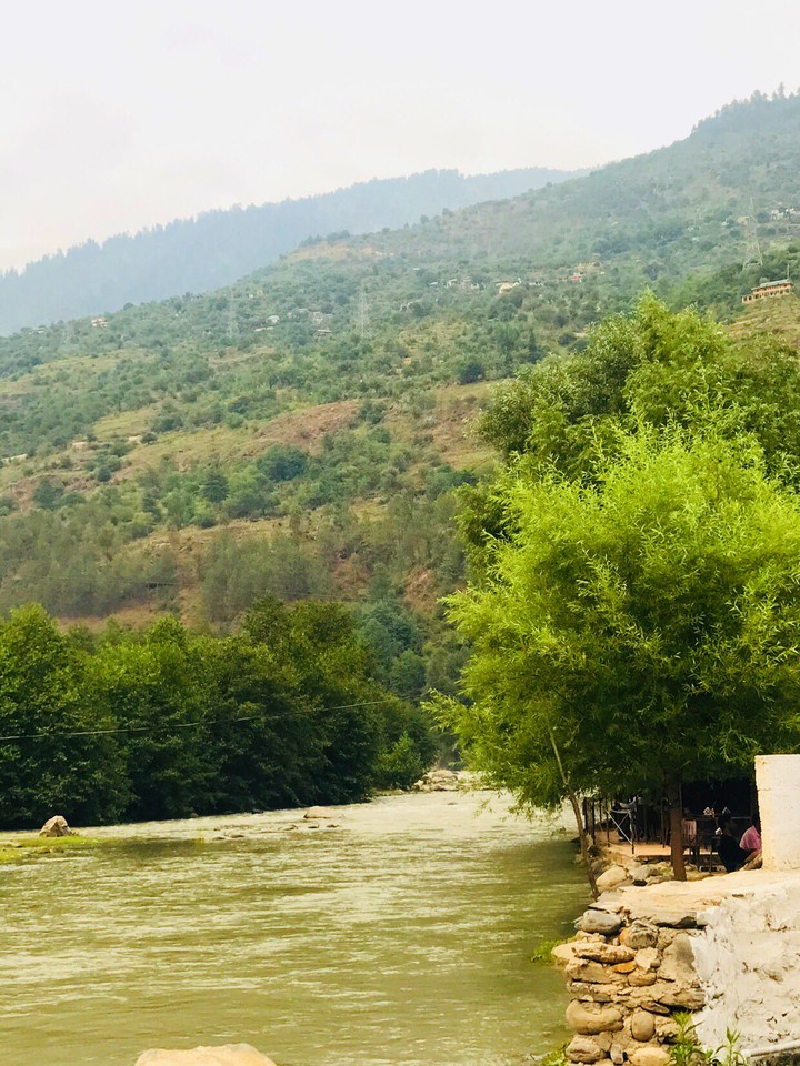 Nature