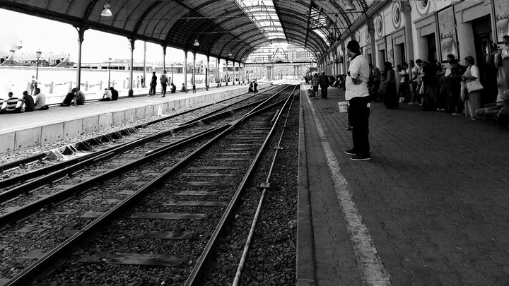 alger 4 by imad