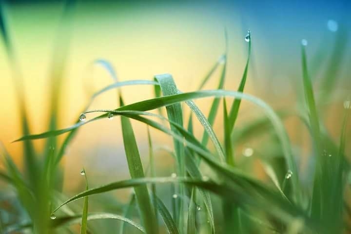 #Nature