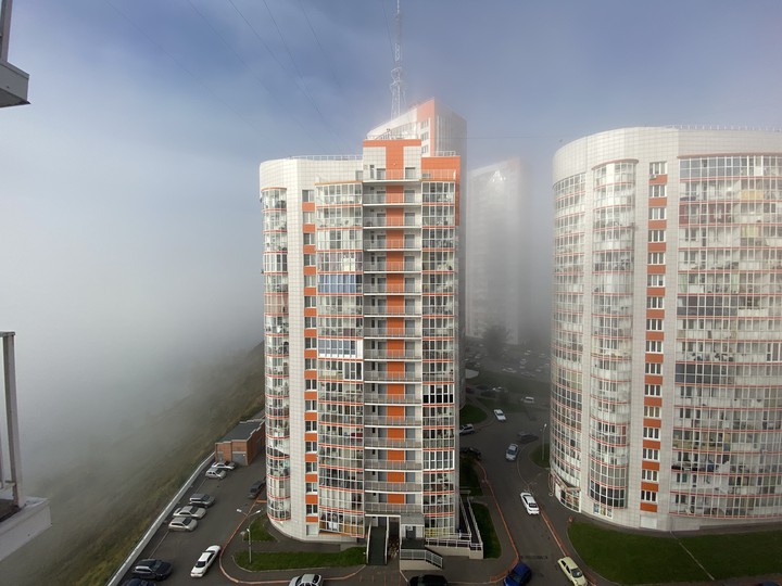 the fog