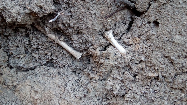 Archeology