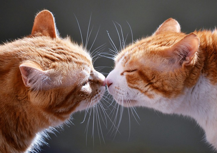 #Cute