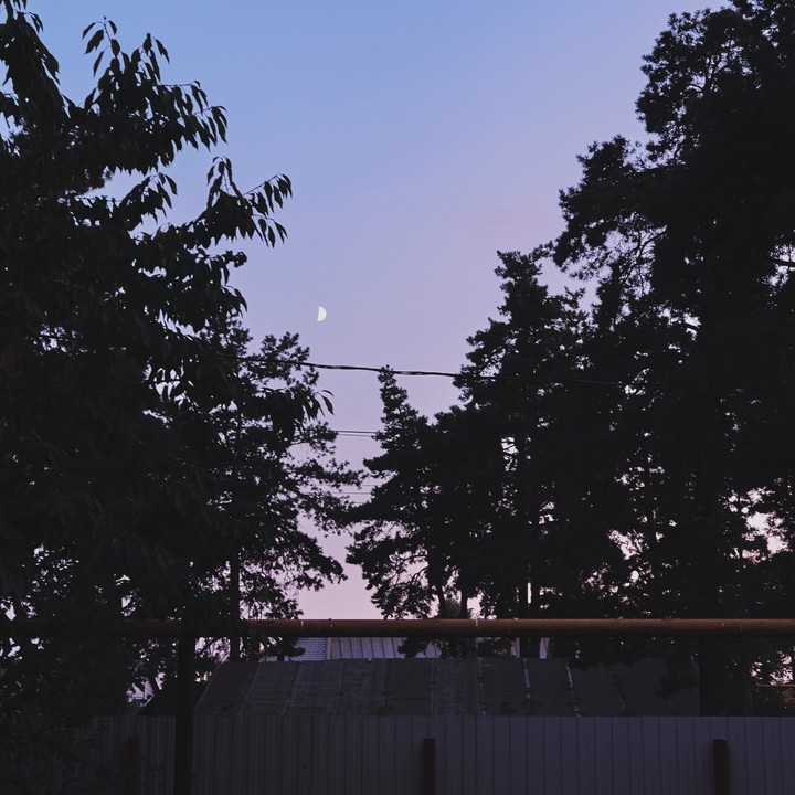 Moon