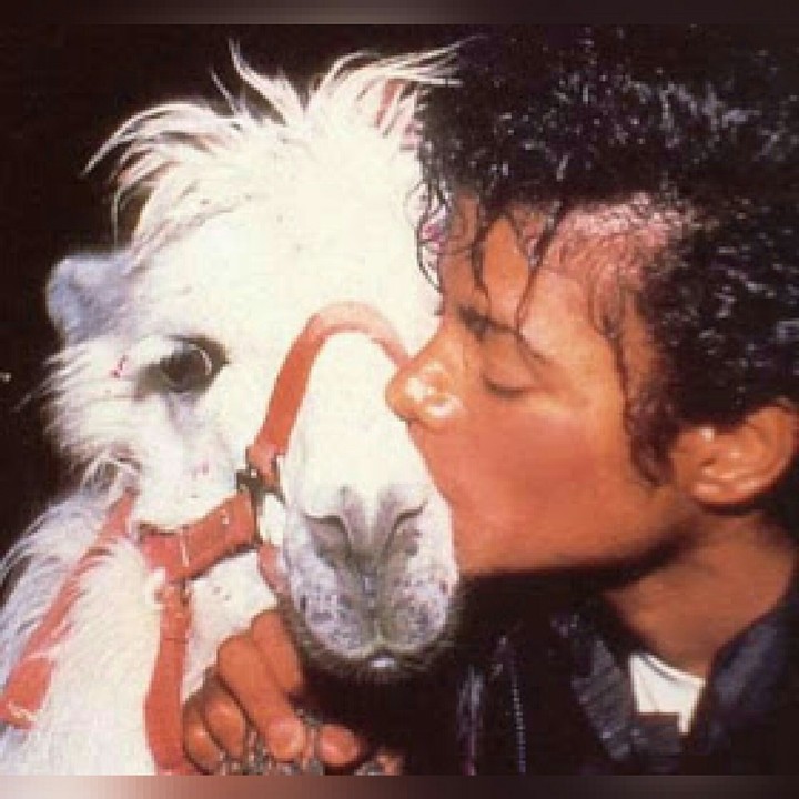 Sweet  :-*