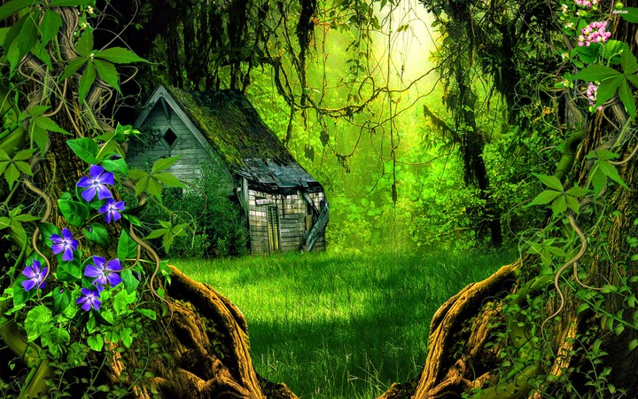 nature