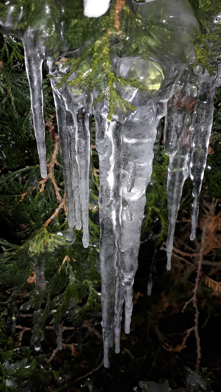 Icicle