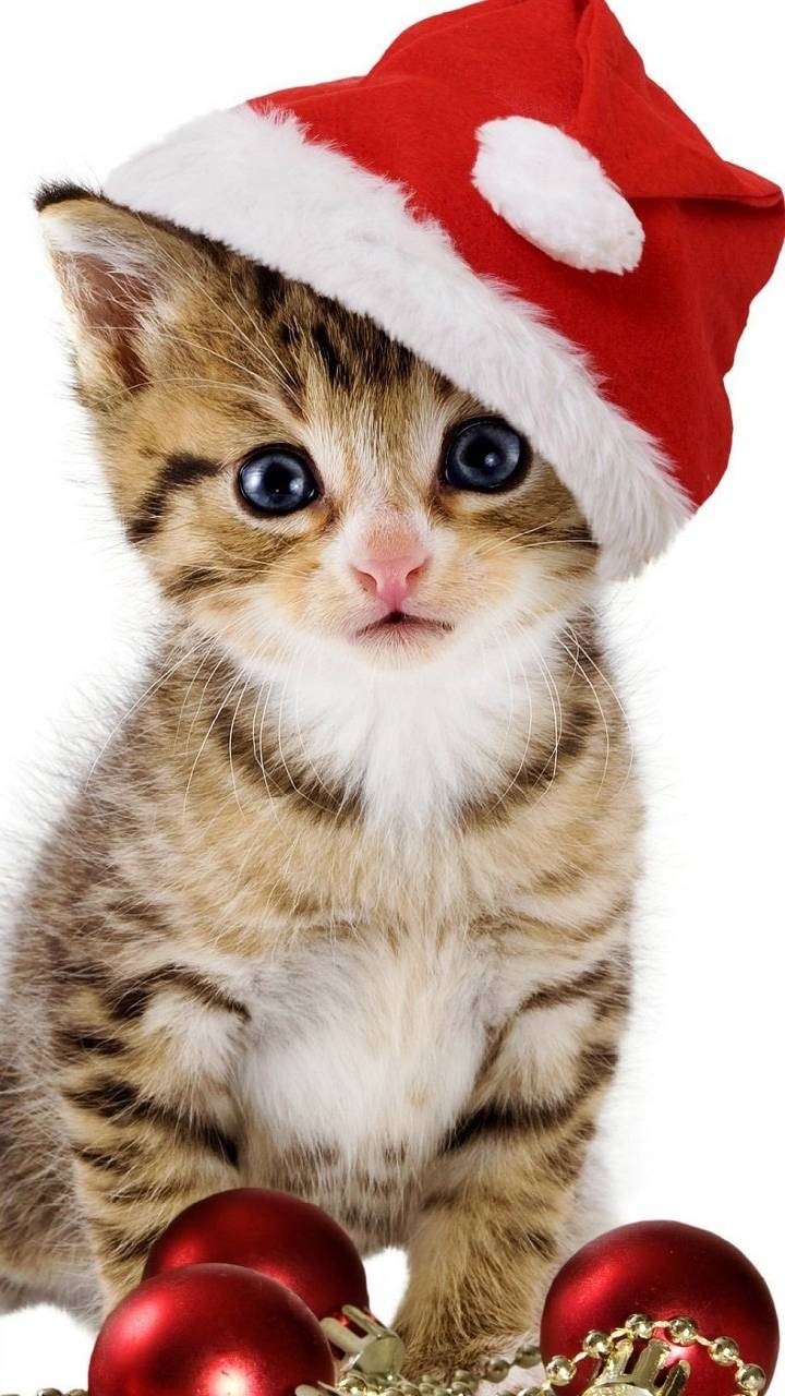 soooo cute