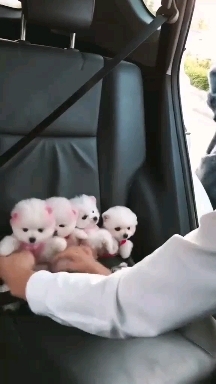 ❤