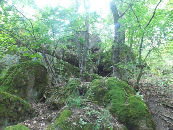 ВЕСНА