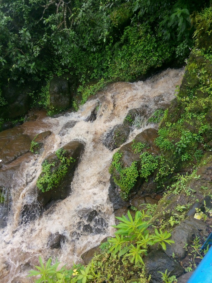 Water.