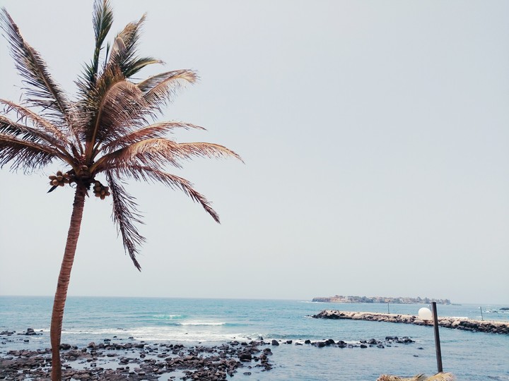 senegal