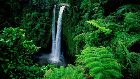 Just let go – and fall like a little waterfall