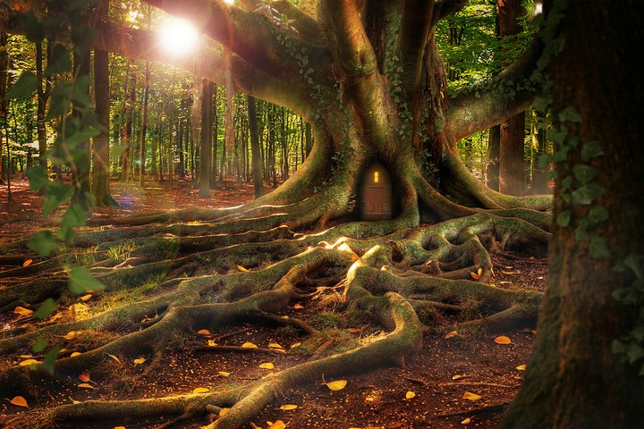 tree