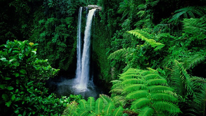 Just let go – and fall like a little waterfall