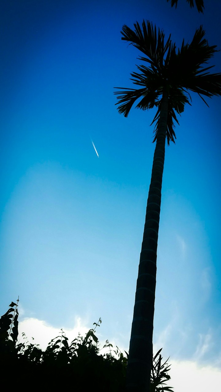 pravin's shots 