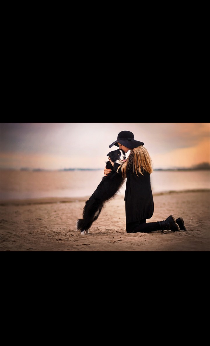 l LOVE YOU DOG MY