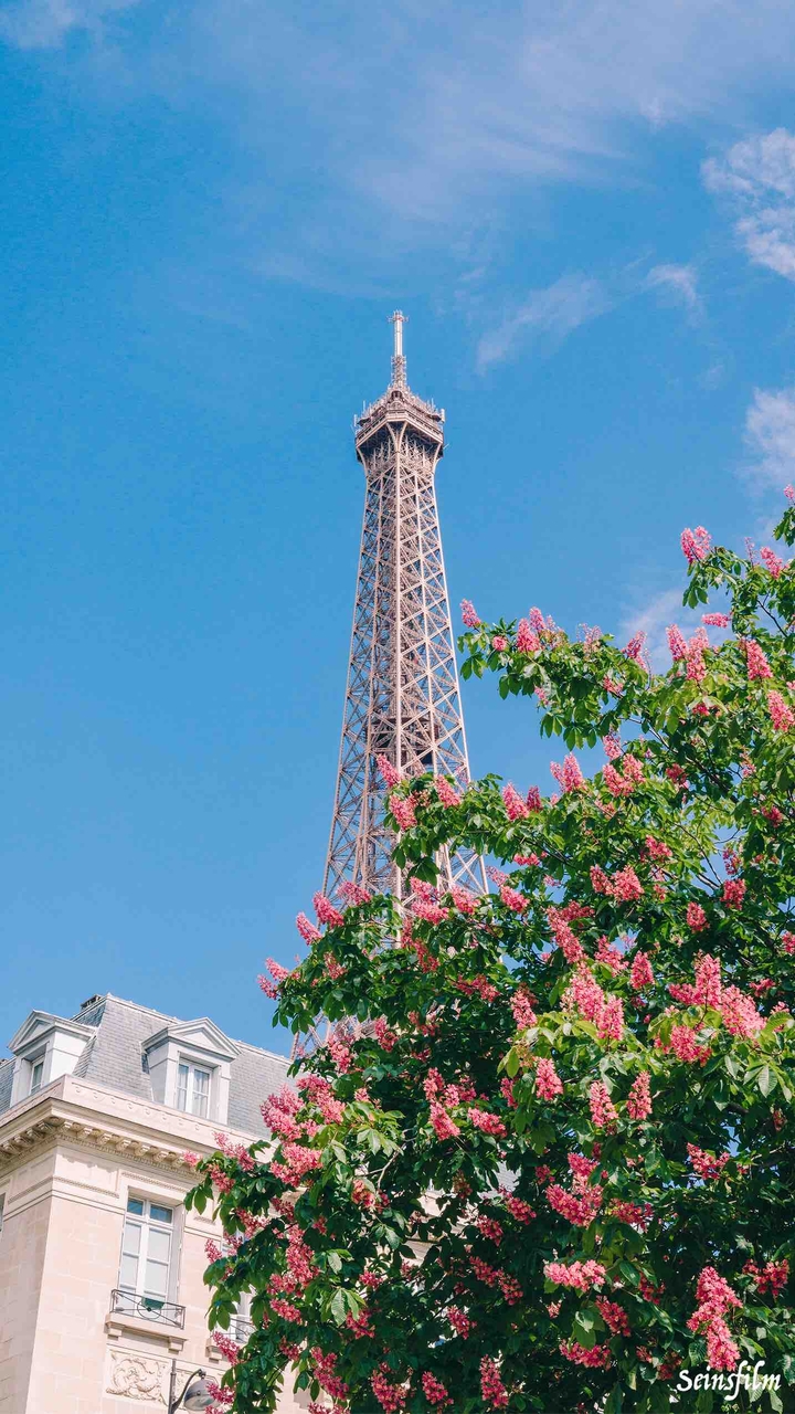 Eiffel with Flowers