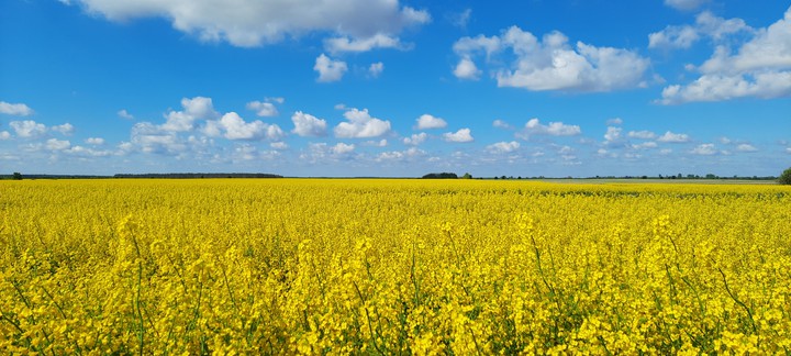 Украина