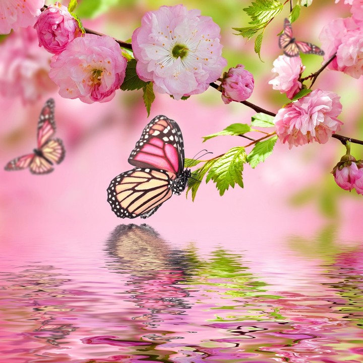 A beautiful color