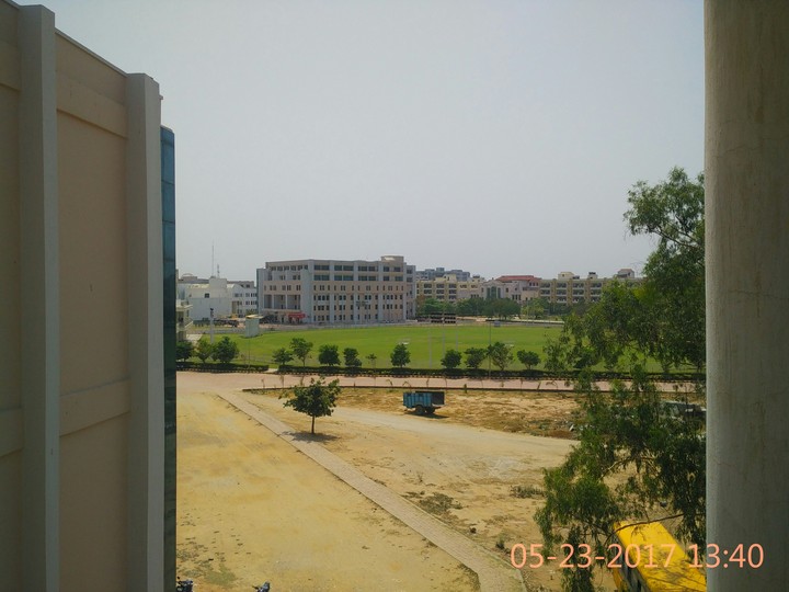 my college