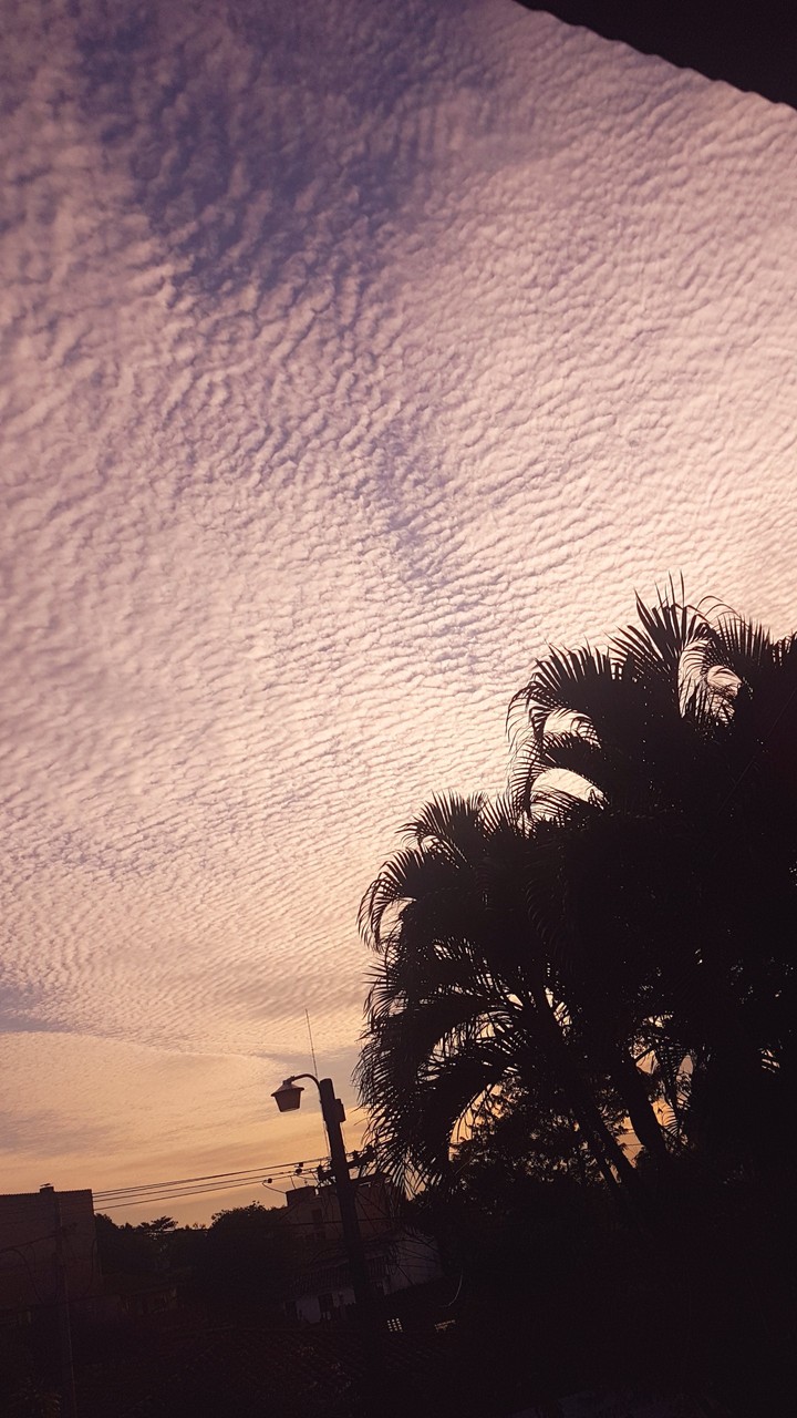 59