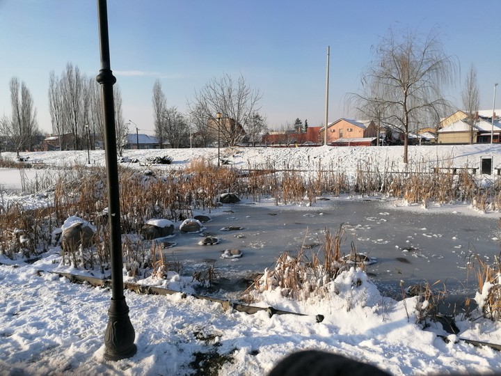 winter