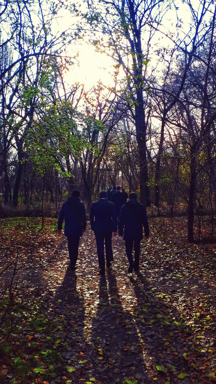 парк
