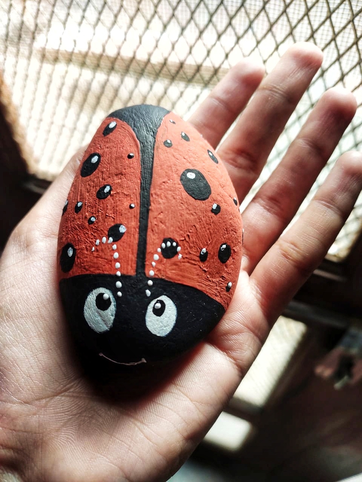 The Bug
