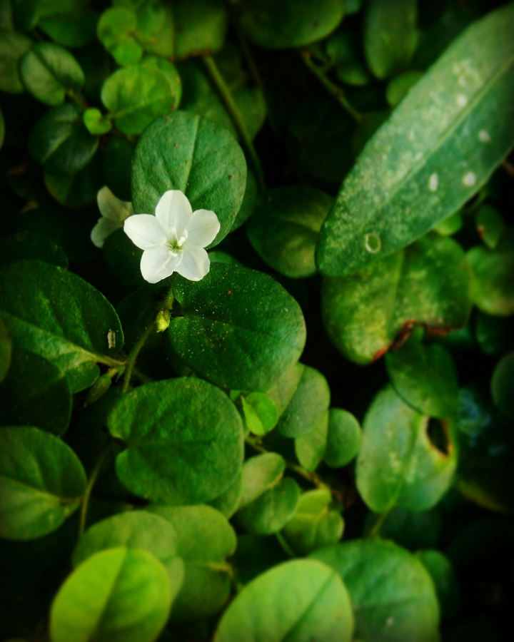 my first pic