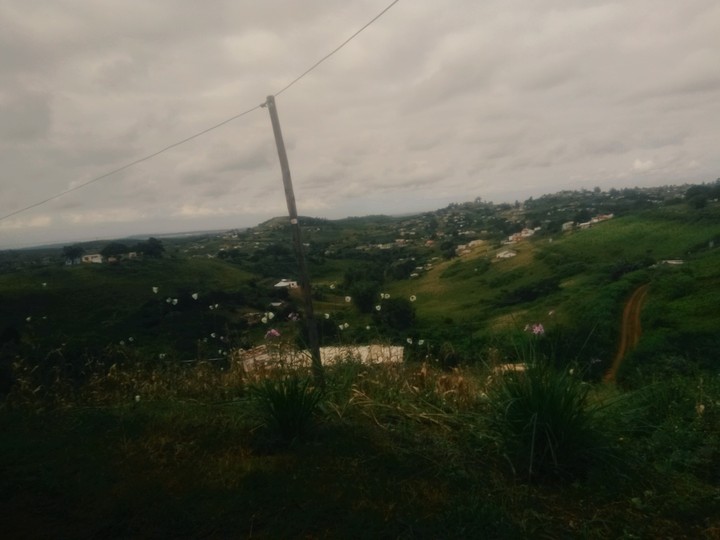lovely farm