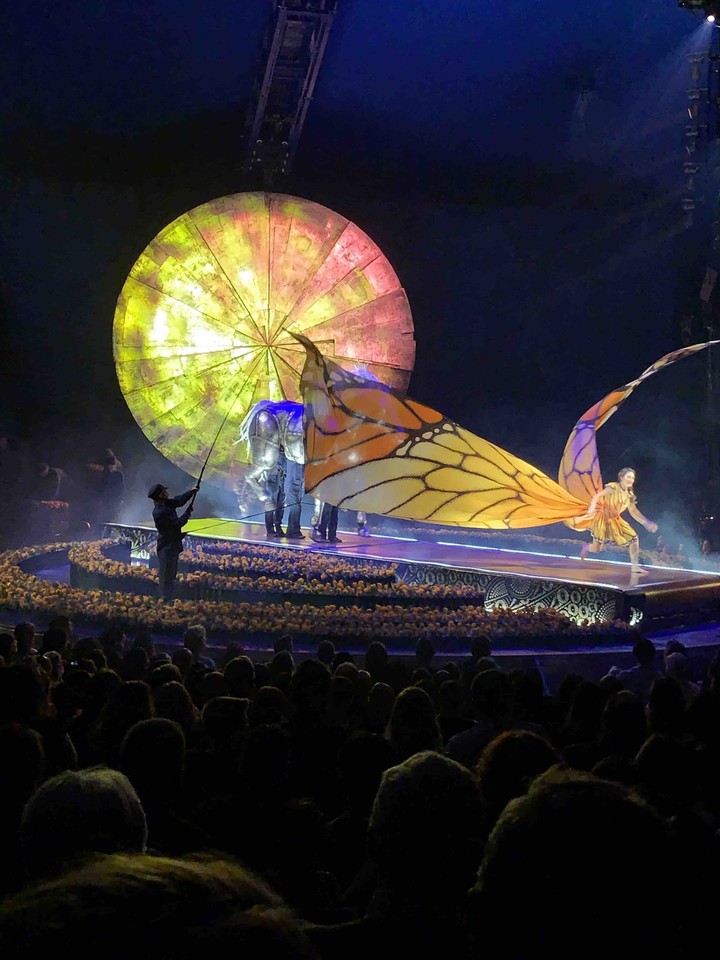 Circus Troup