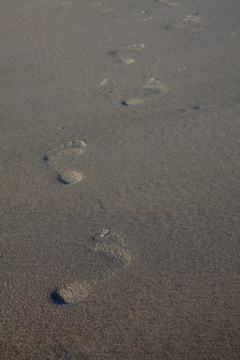 Footprint