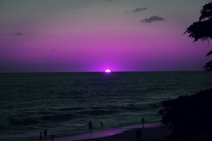 moonlight