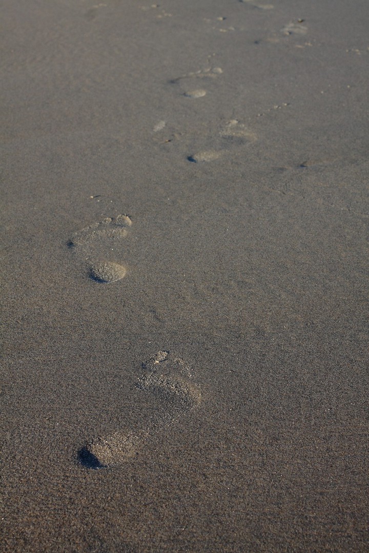 Footprint