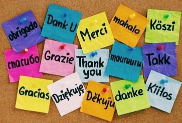 Thank You for Following...