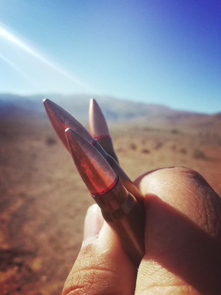 A good day with good shooting