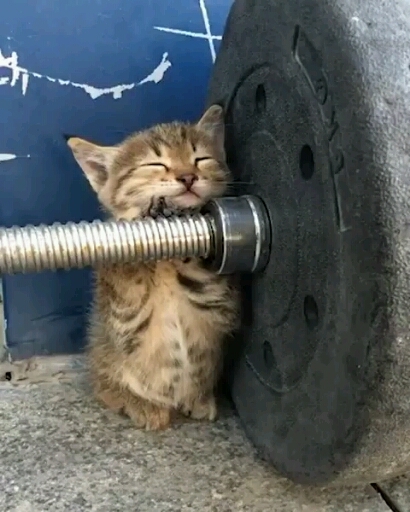 When your friend asks you to start exercising with them