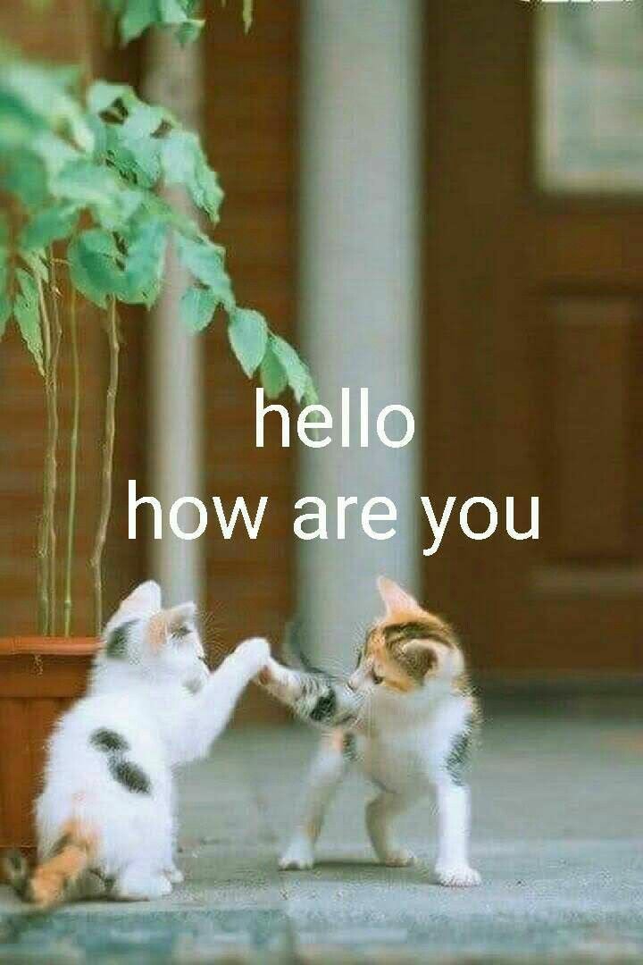 ❤⚘❤