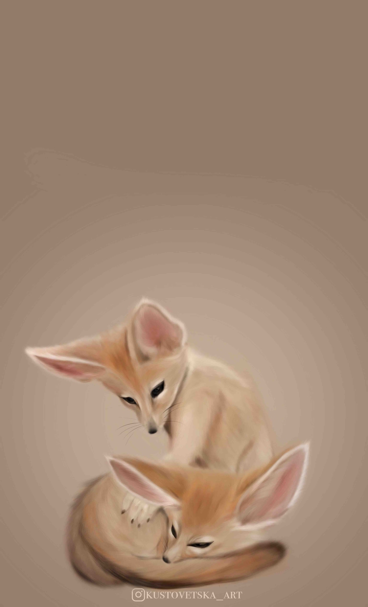Fennec fox