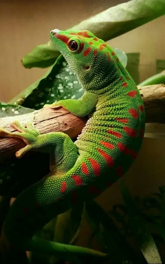 naturaleza